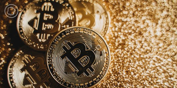 Les trésoreries Bitcoin cartonnent et suivent de près les ETF dans la course aux BTC